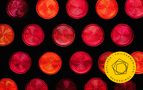 Bruno Delepelaire: Haydn · Lalo (Download)